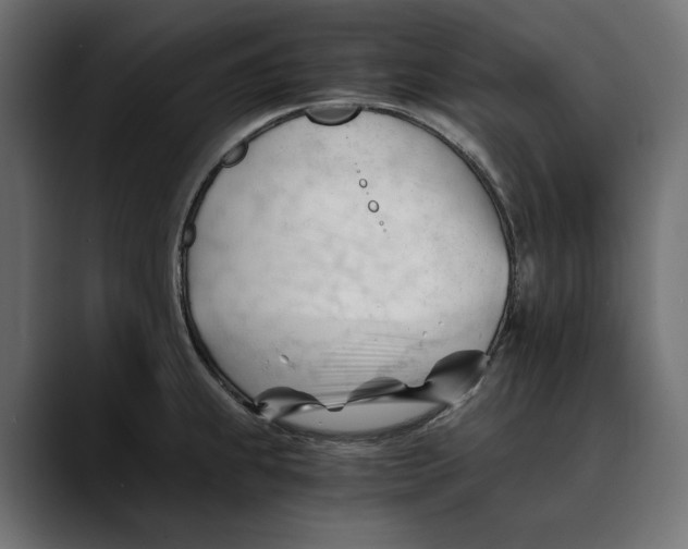 X0000088911239200707061339