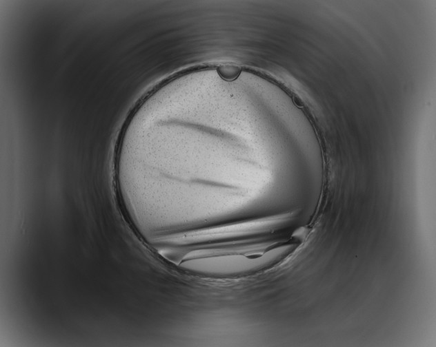 X0000088911240200707061340