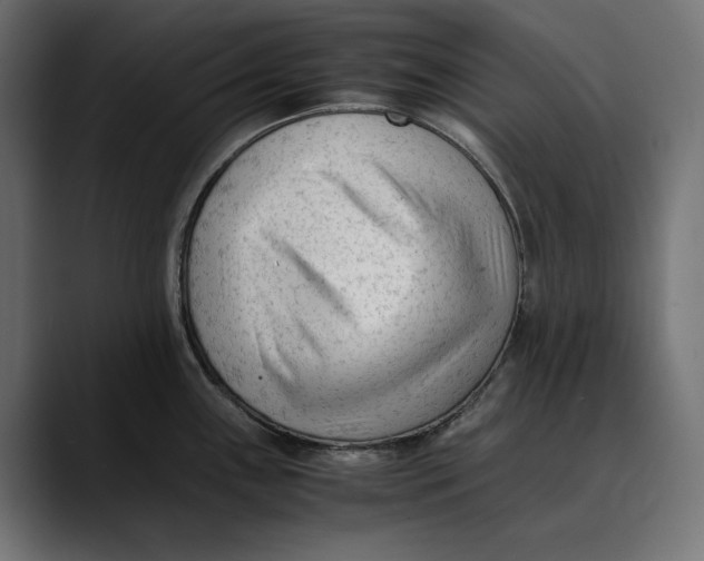 X0000088911243200707061340