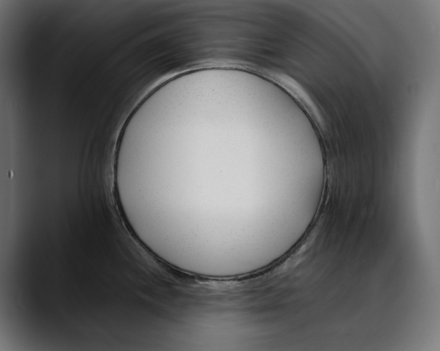 X0000088911244200707061340