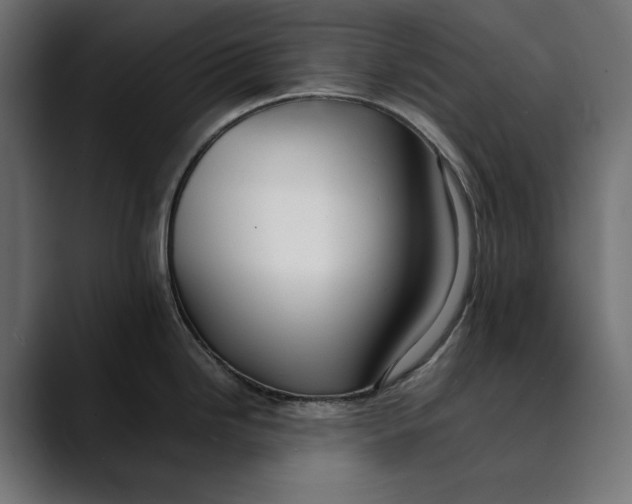 X0000088911246200707061340