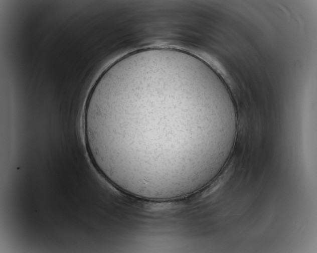 X0000088911247200707061340