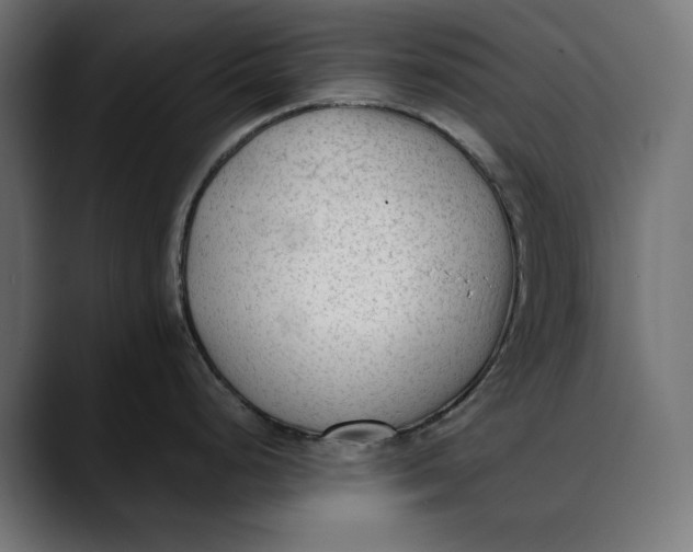 X0000088911248200707061340