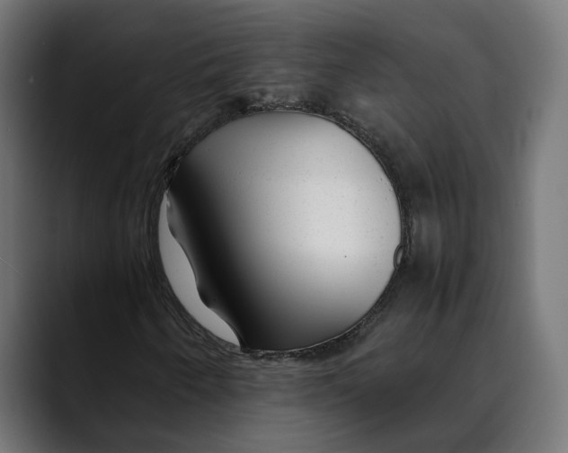 X0000088911250200707061339