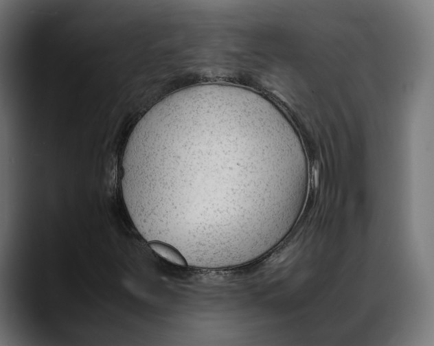 X0000088911251200707061339