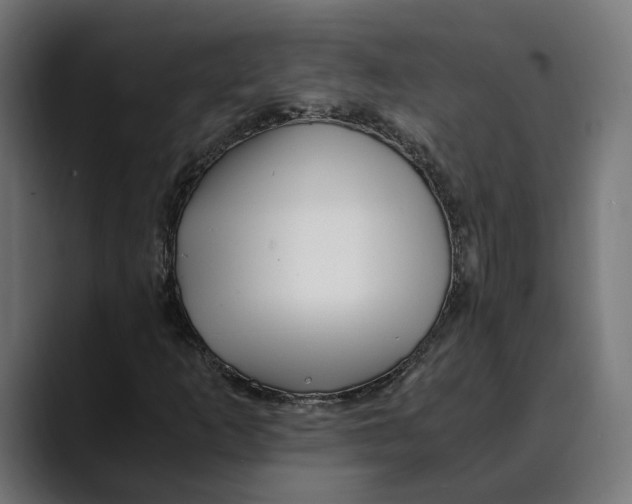 X0000088911253200707061339