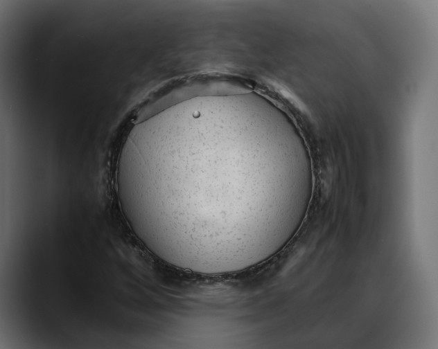 X0000088911256200707061339