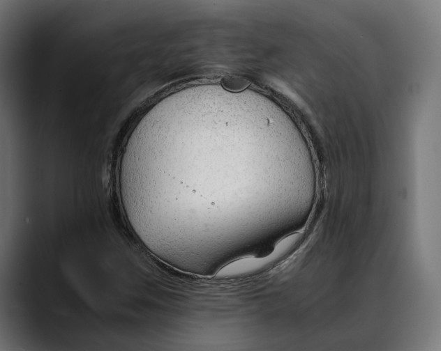 X0000088911259200707061339