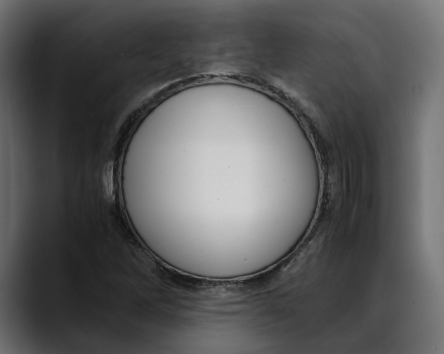 X0000088911262200707061339