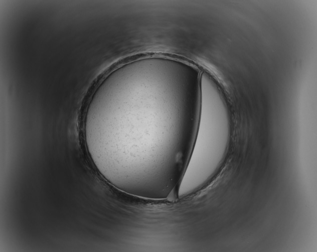 X0000088911264200707061339