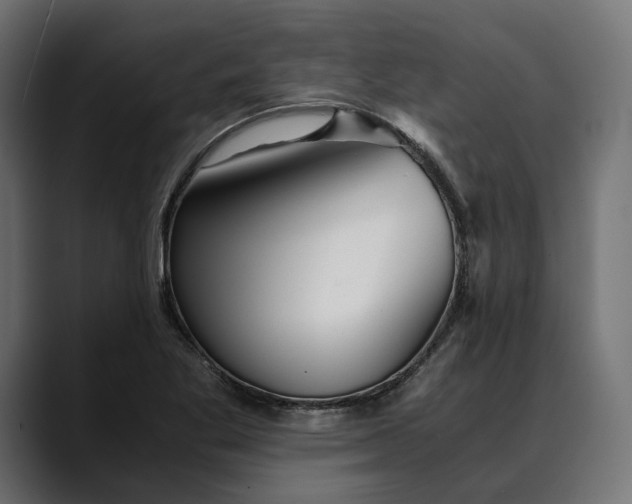 X0000088911269200707061339