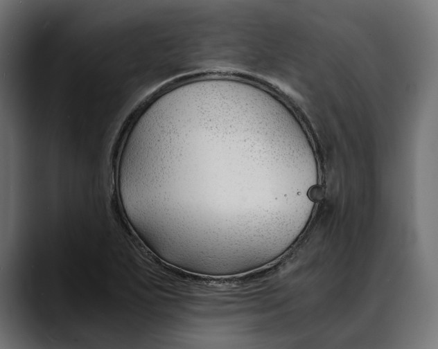 X0000088911271200707061339