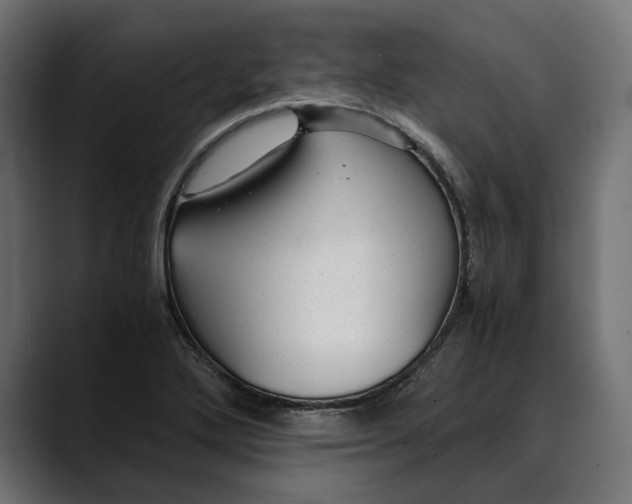 X0000088911272200707061339