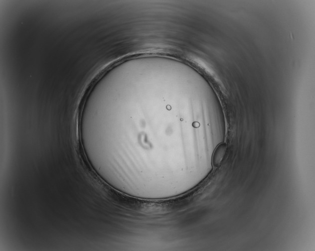 X0000088911275200707061339