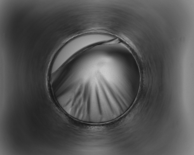 X0000088911277200707061339