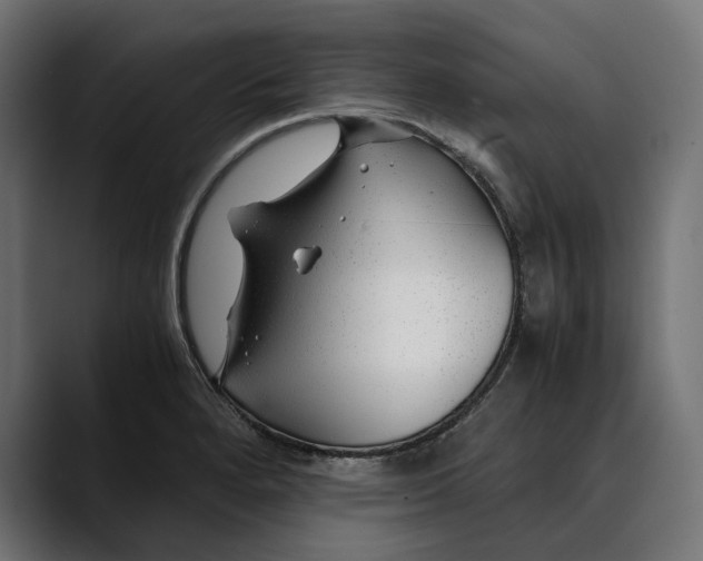 X0000088911280200707061339