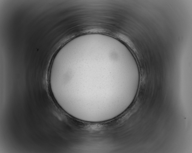 X0000088911282200707061339