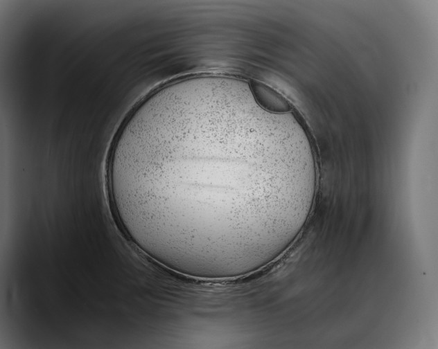 X0000088911283200707061339