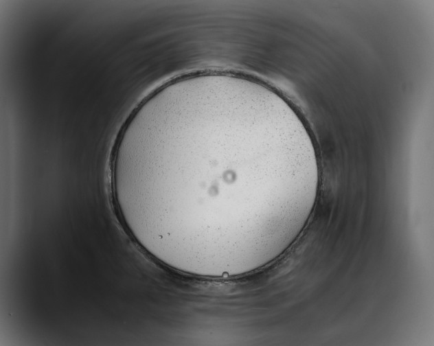 X0000088911287200707061339