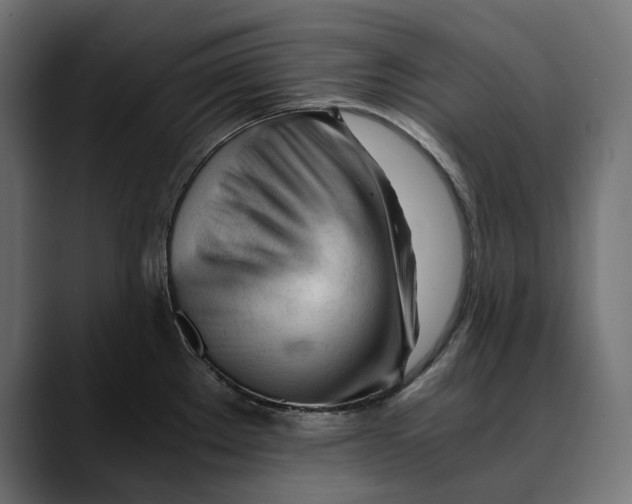 X0000088911289200707061339