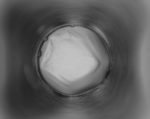 X0000088911291200707061339