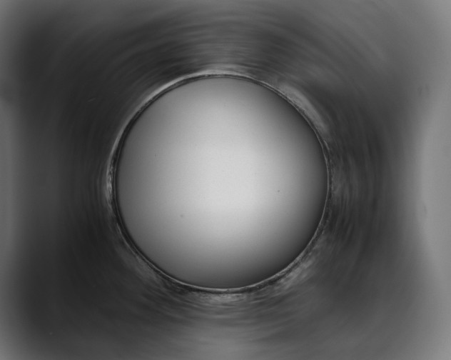 X0000088911292200707061339