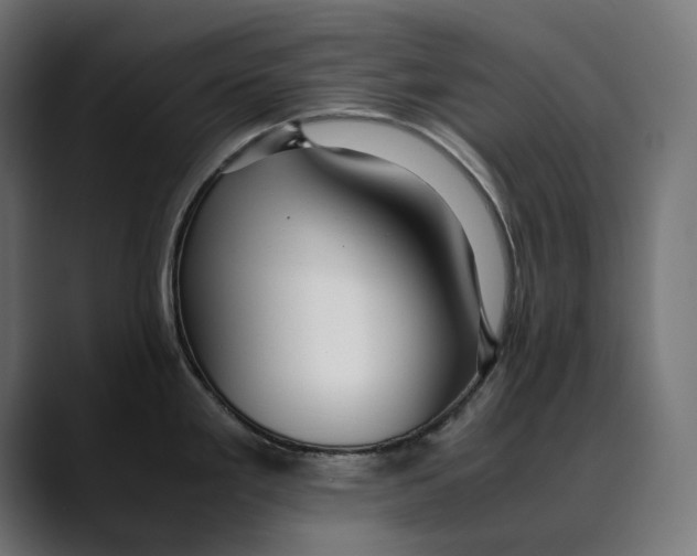 X0000088911293200707061339