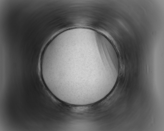 X0000088911294200707061339