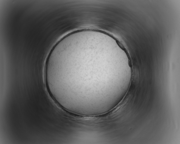 X0000088911295200707061339