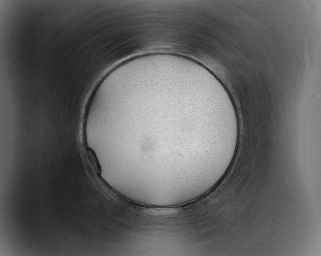 X0000088911296200707061338