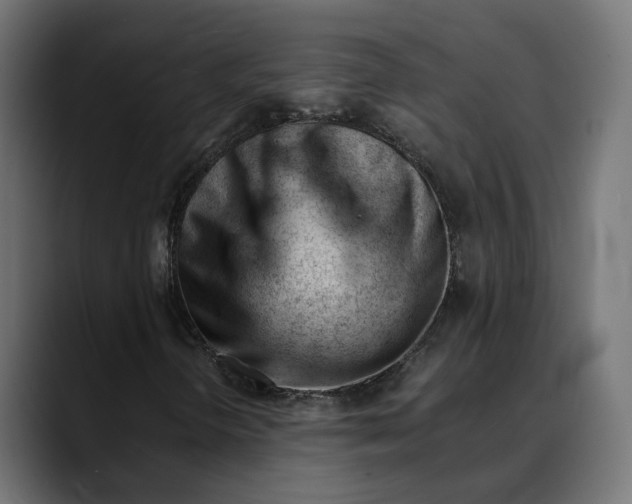 X0000088911298200707061338