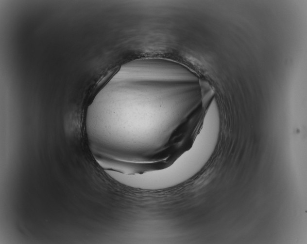 X0000088911300200707061338