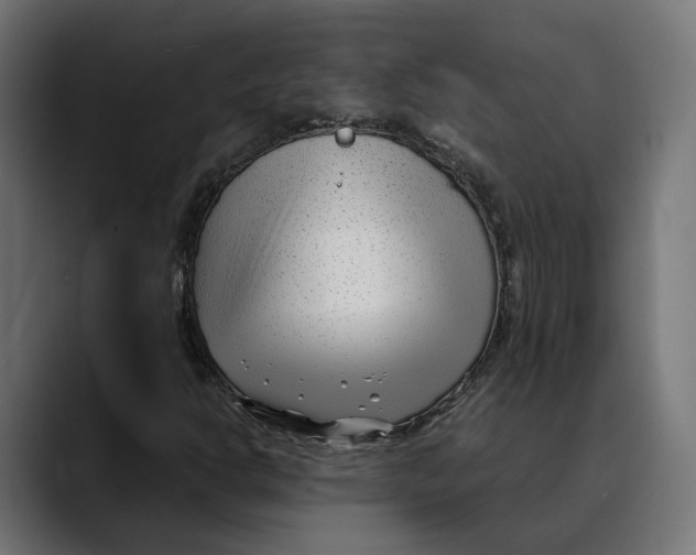 X0000088911302200707061338