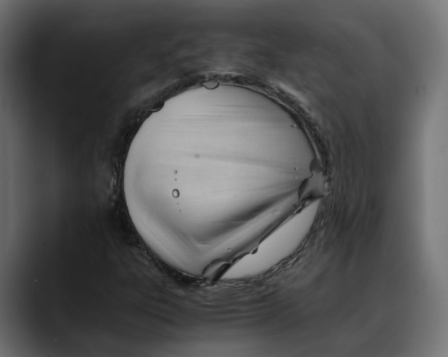 X0000088911303200707061338