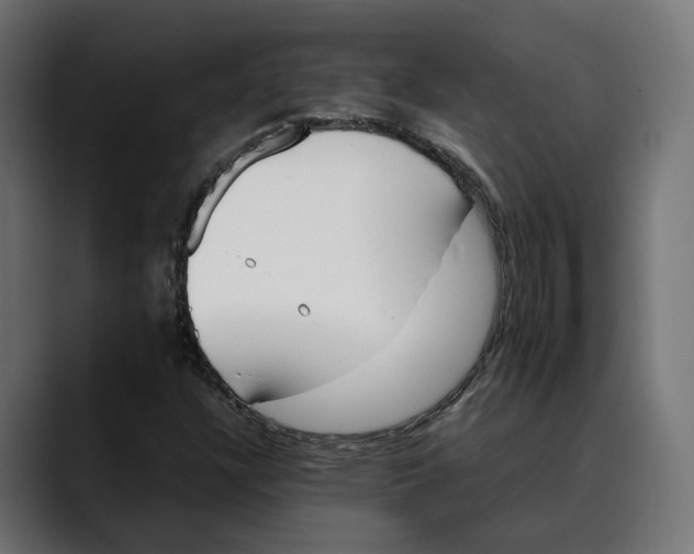 X0000088911304200707061338