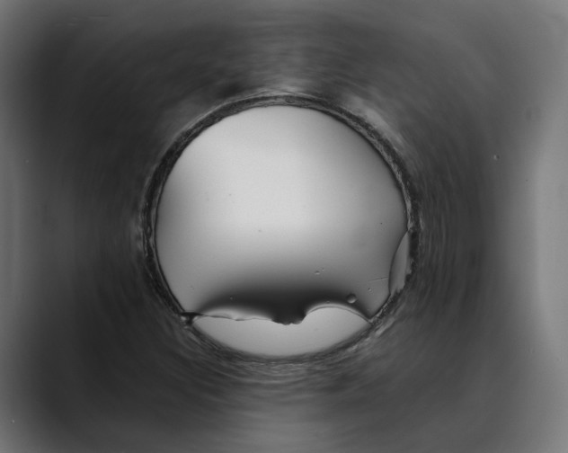 X0000088911308200707061338