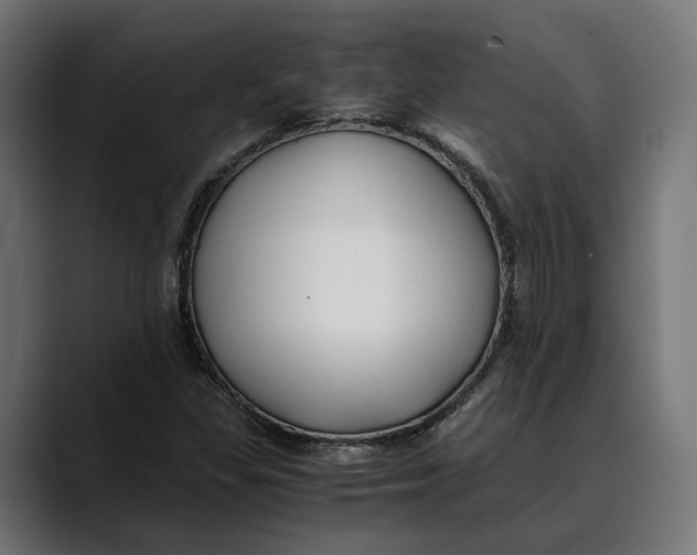 X0000088911309200707061338