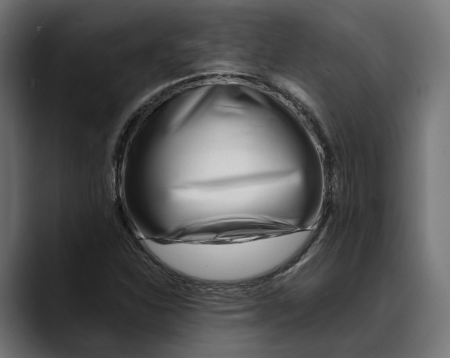 X0000088911310200707061338