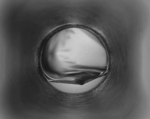 X0000088911311200707061338