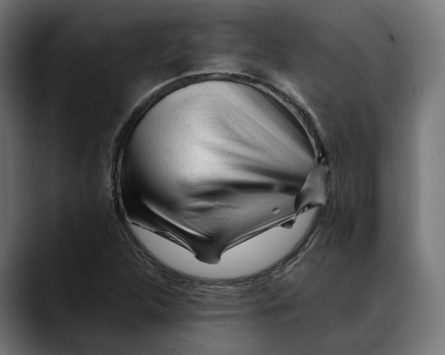 X0000088911312200707061338