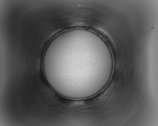 X0000088911313200707061338