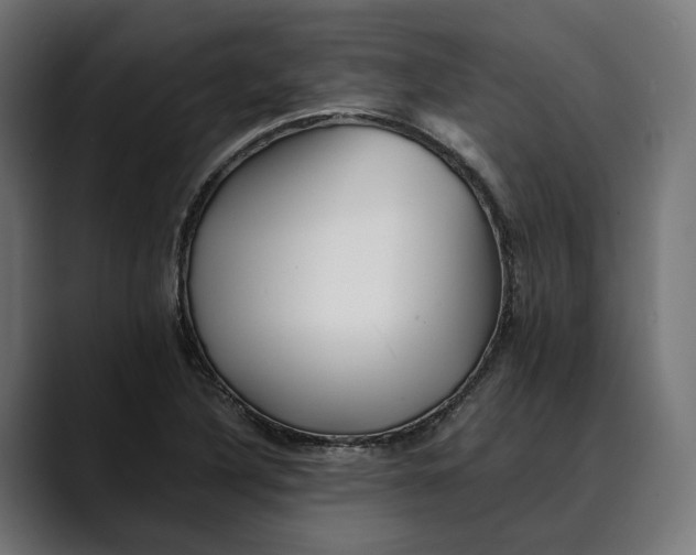 X0000088911316200707061338