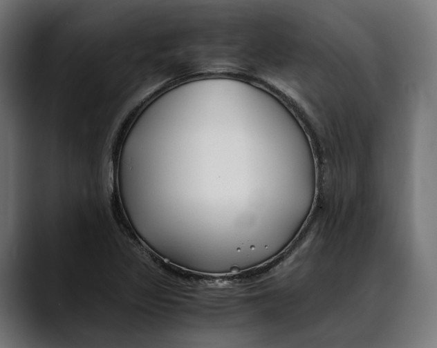 X0000088911317200707061338