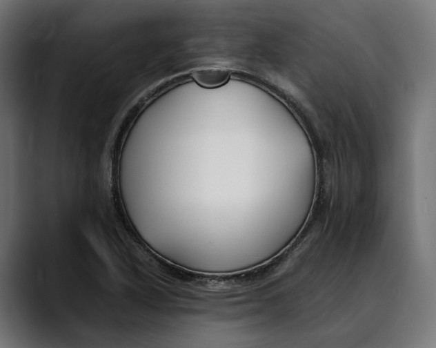 X0000088911318200707061338