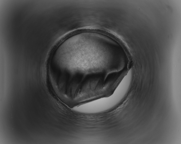 X0000088911319200707061338