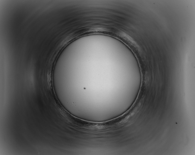 X0000088911321200707061338