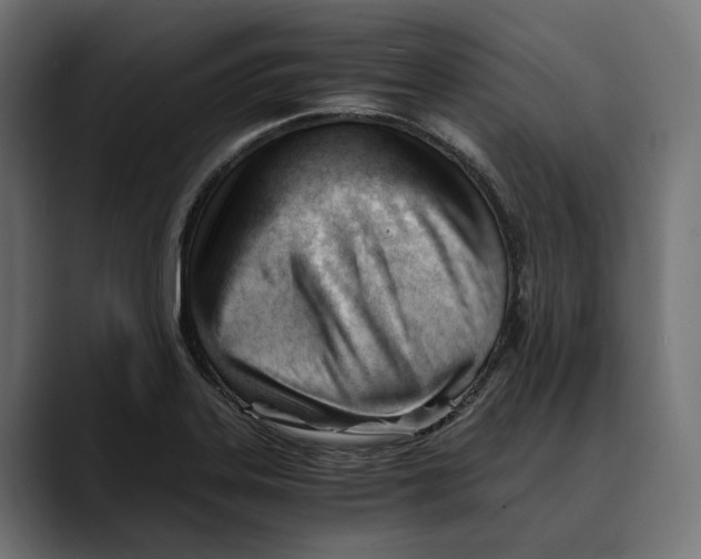 X0000088911323200707061338