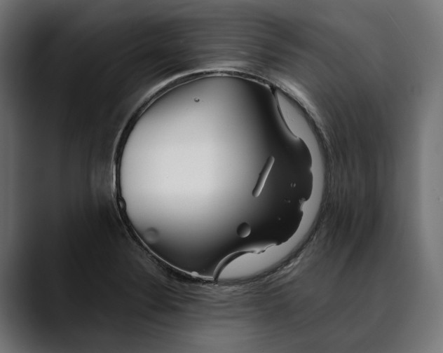 X0000088911324200707061338