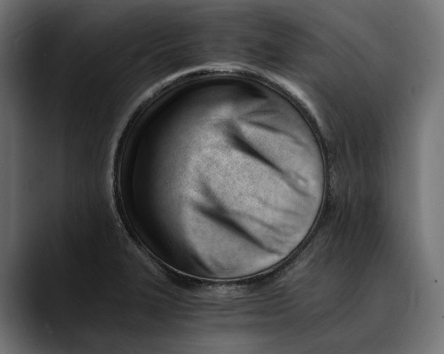 X0000088911327200707061338