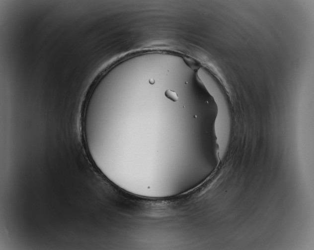 X0000088911328200707061338